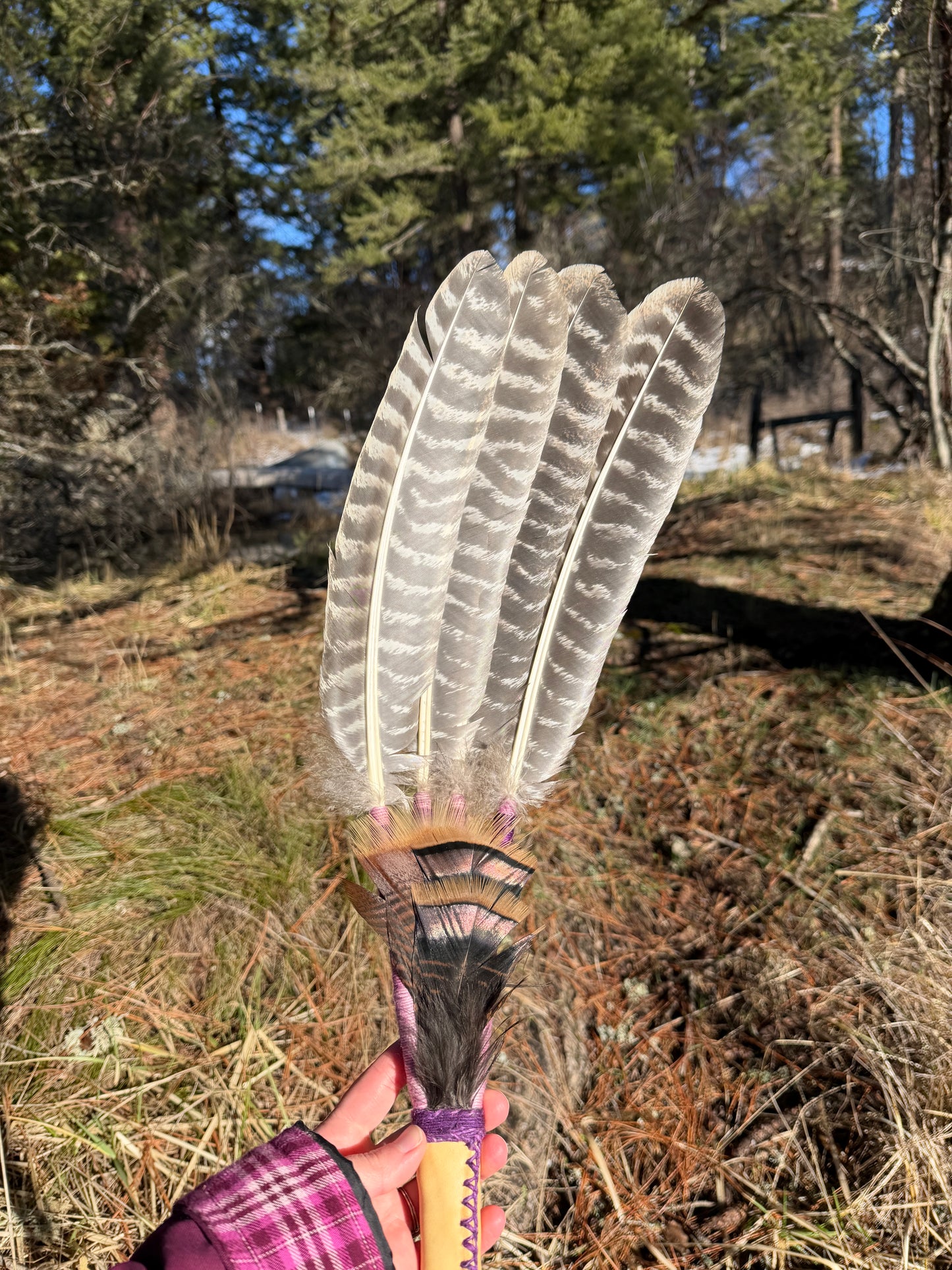 Nymphaea-Feather Fan