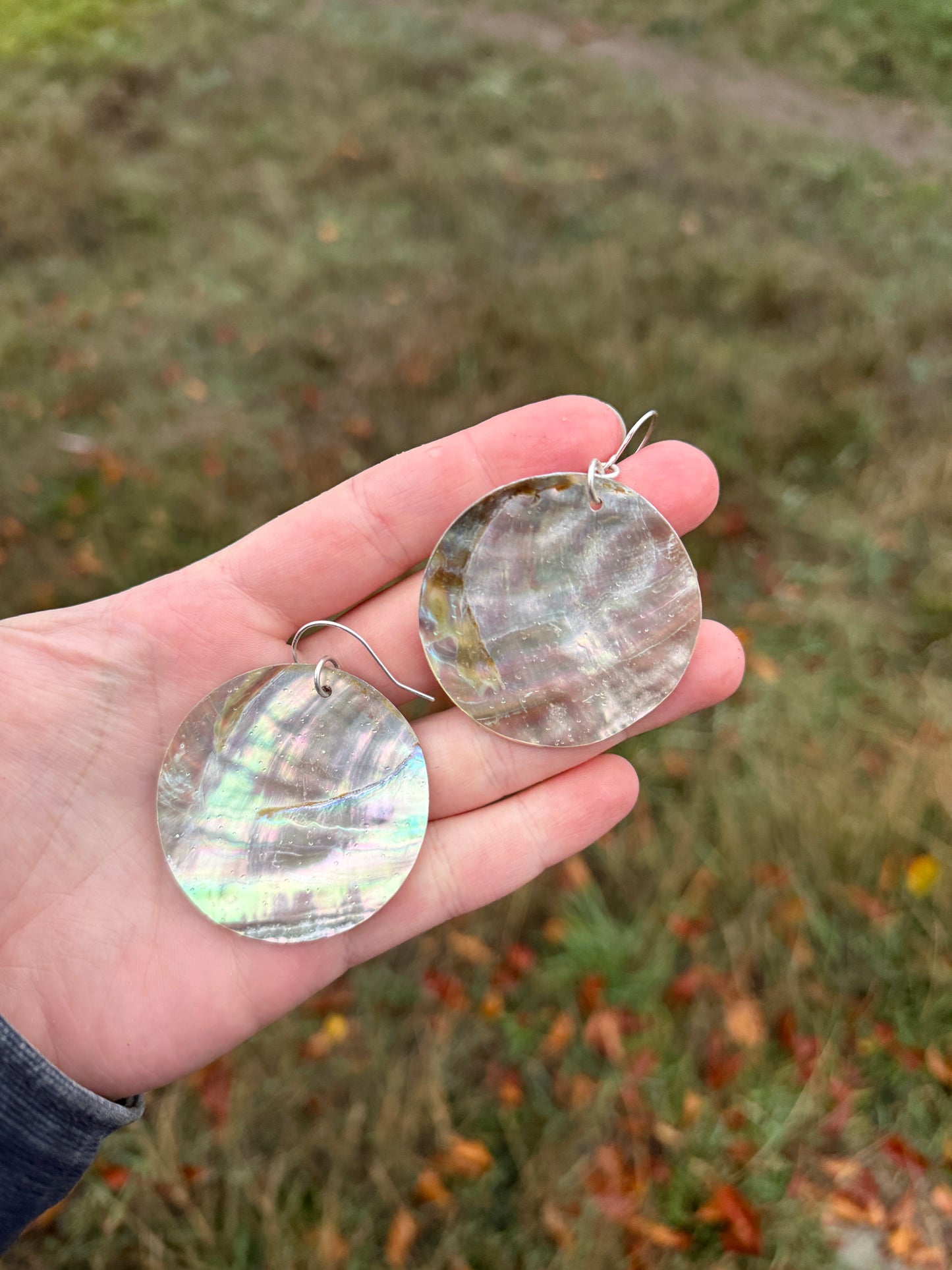 Abalone Shell earrings