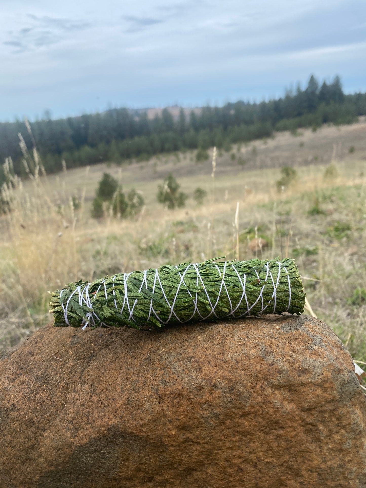 Cedar bundles