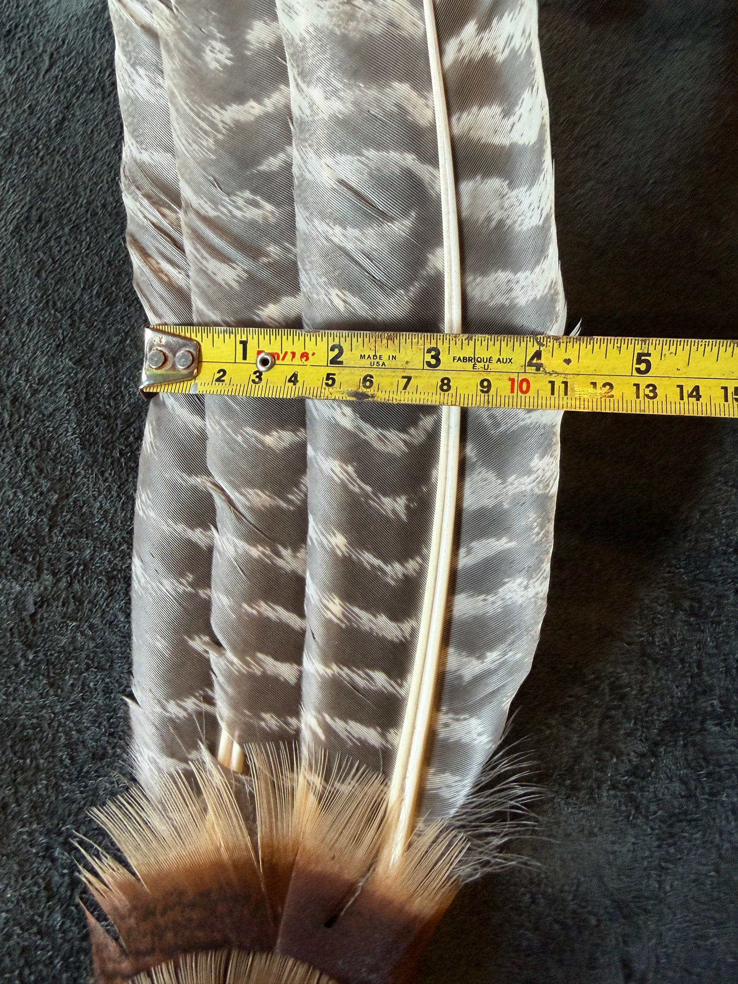 Malva-Feather Fan