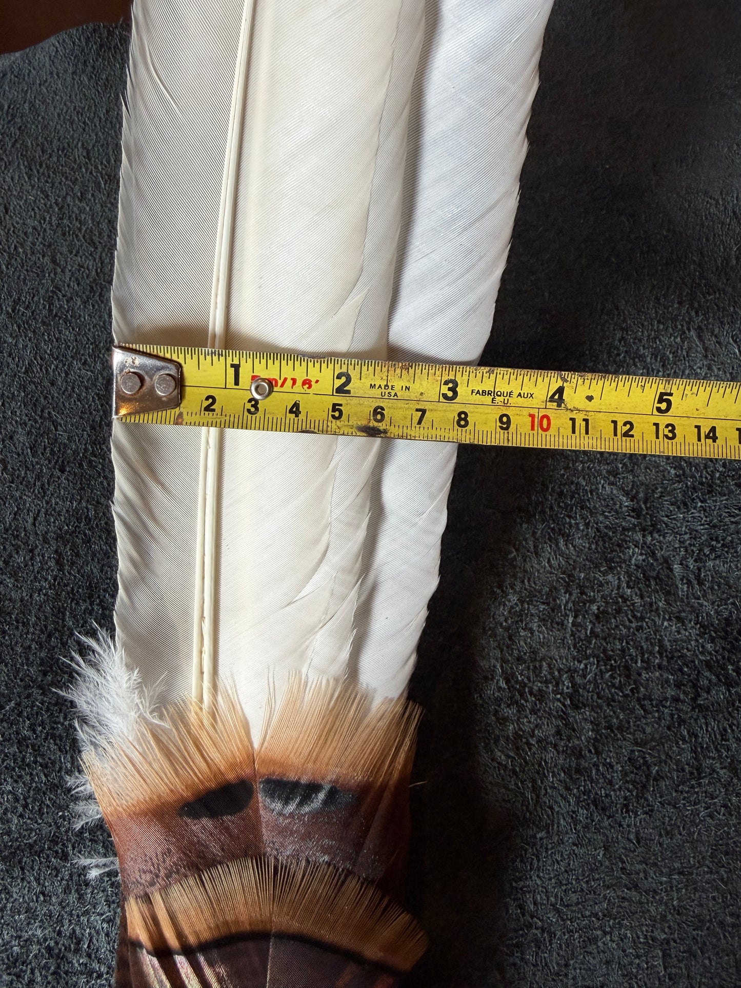 Licorice-Feather Fan