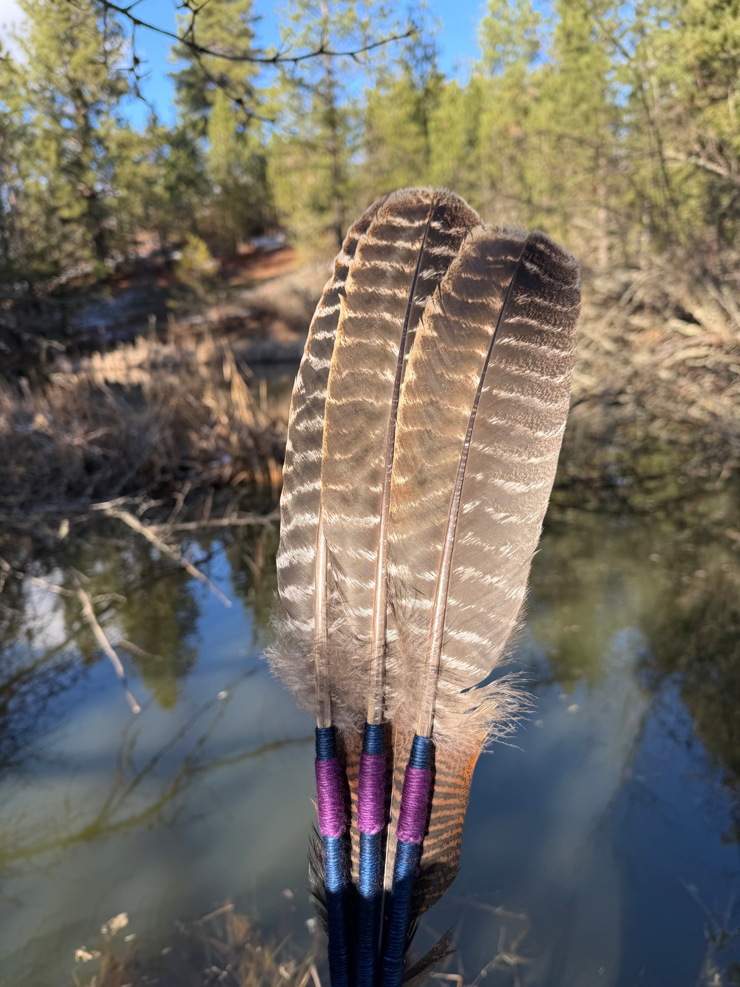Ruta-Feather Fan