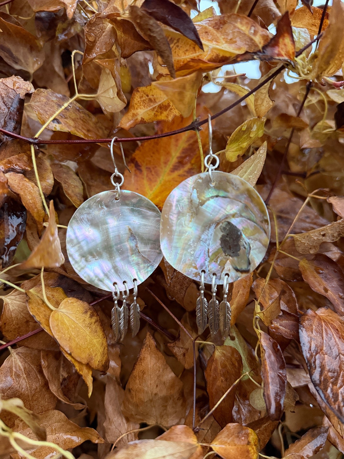 Abalone Feather Earrings