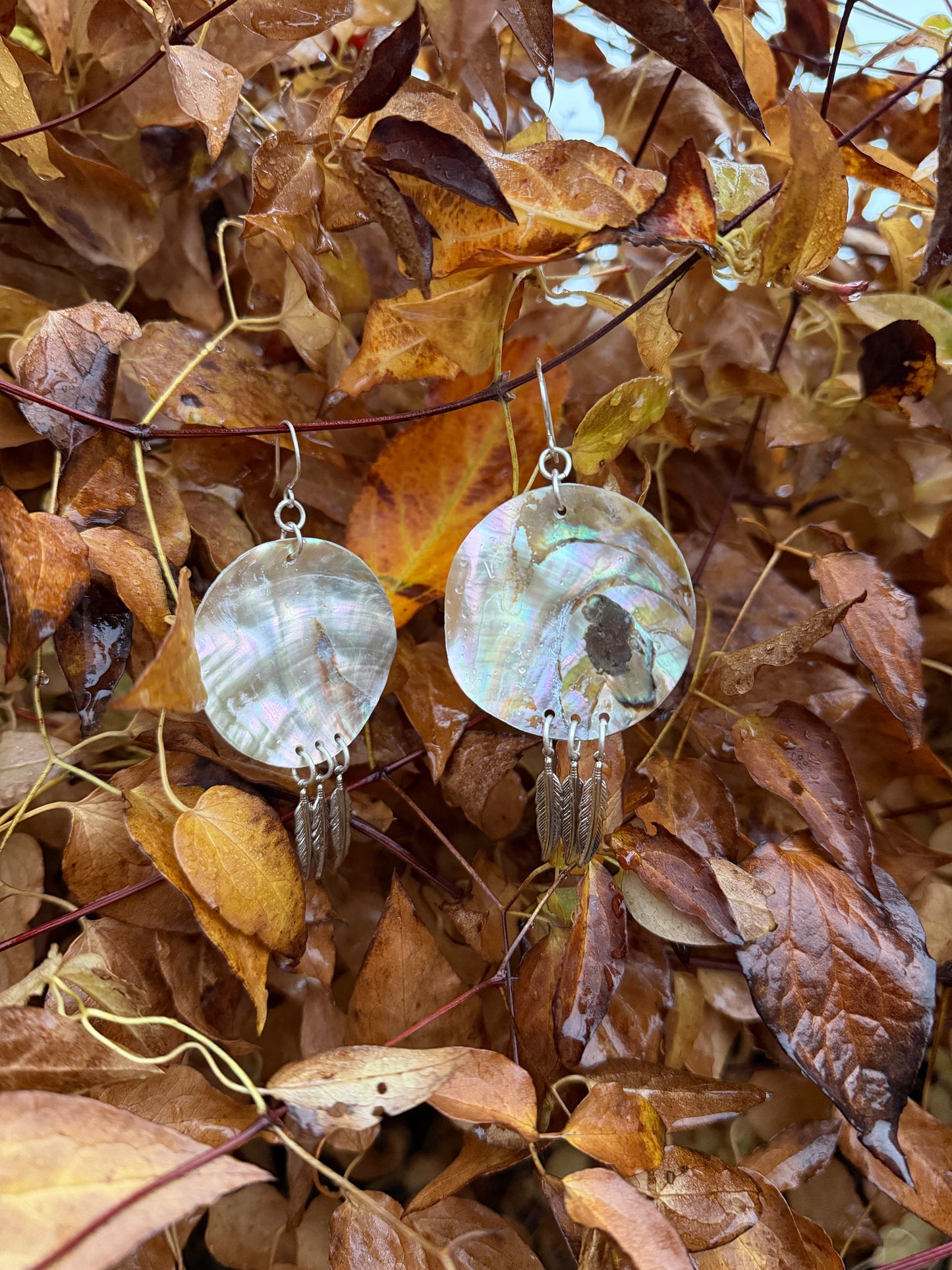 Abalone Feather Earrings