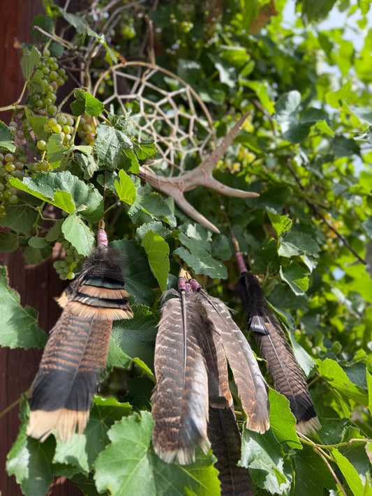 Pink Dreamcatcher