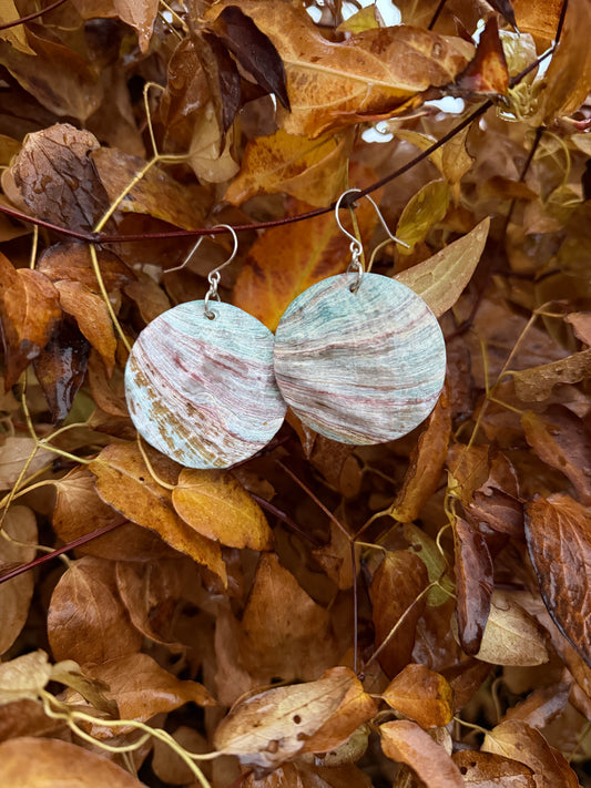 Abalone Shell earrings