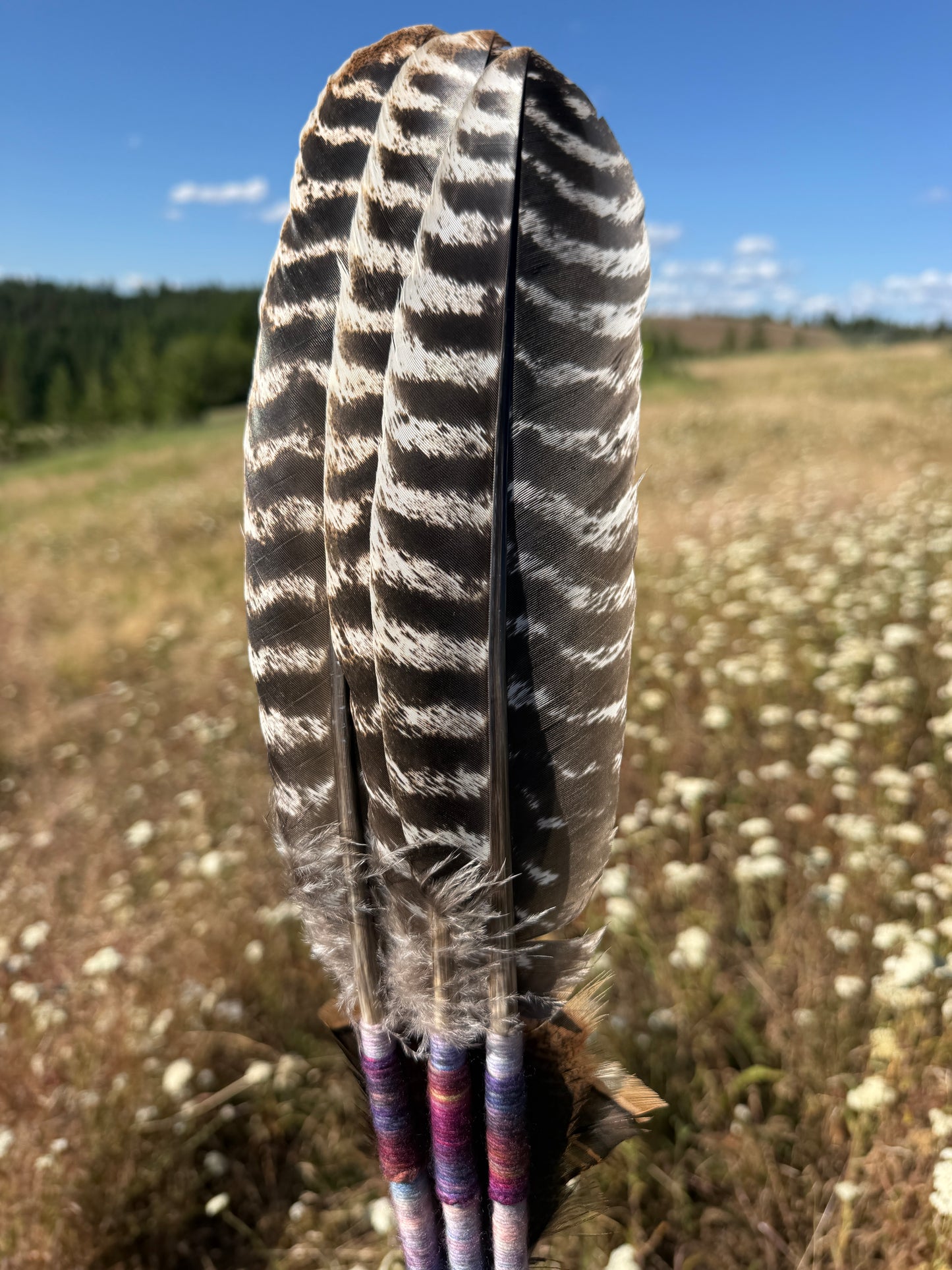 Indigo- Feather Fan