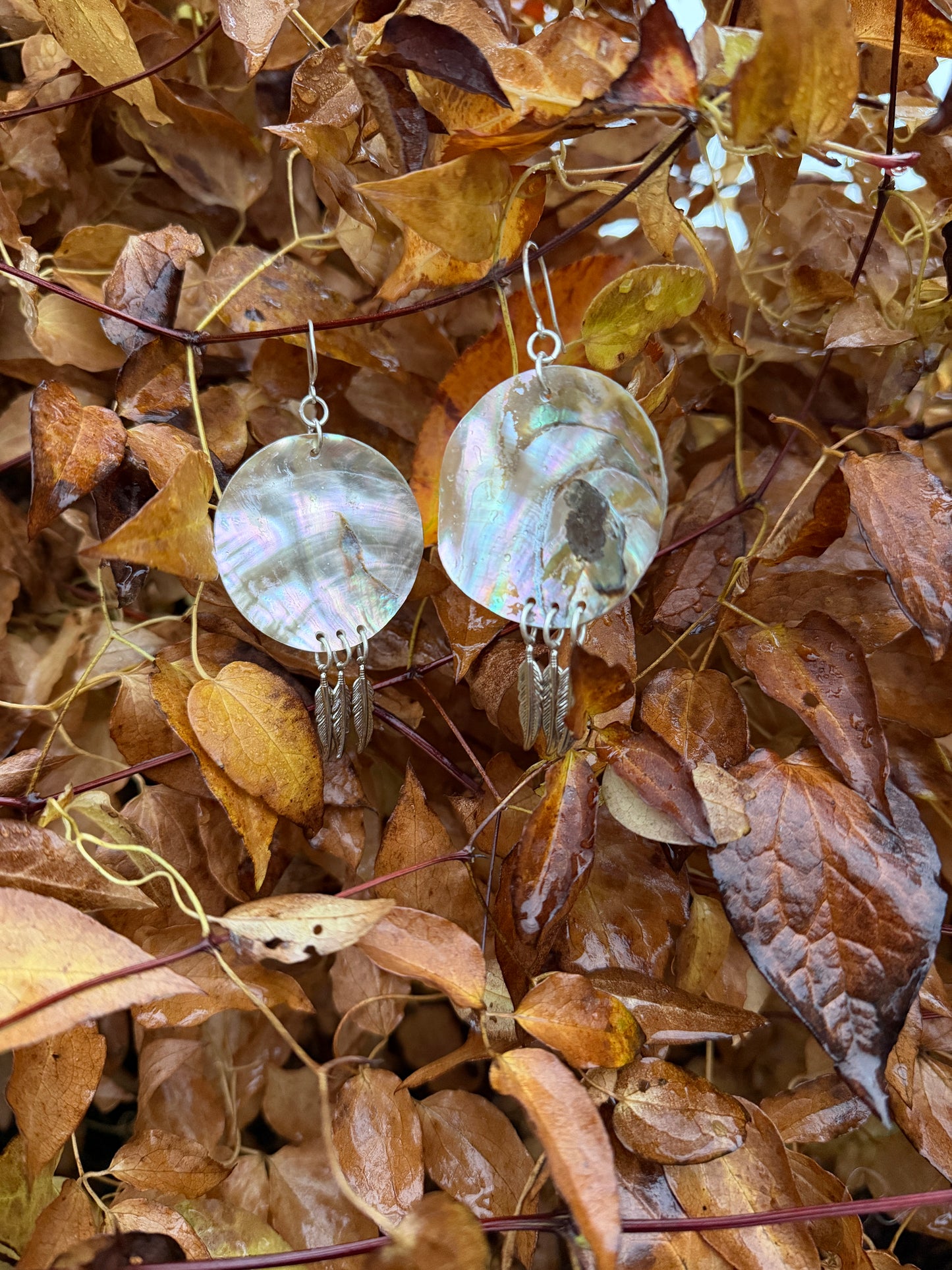 Abalone Feather Earrings