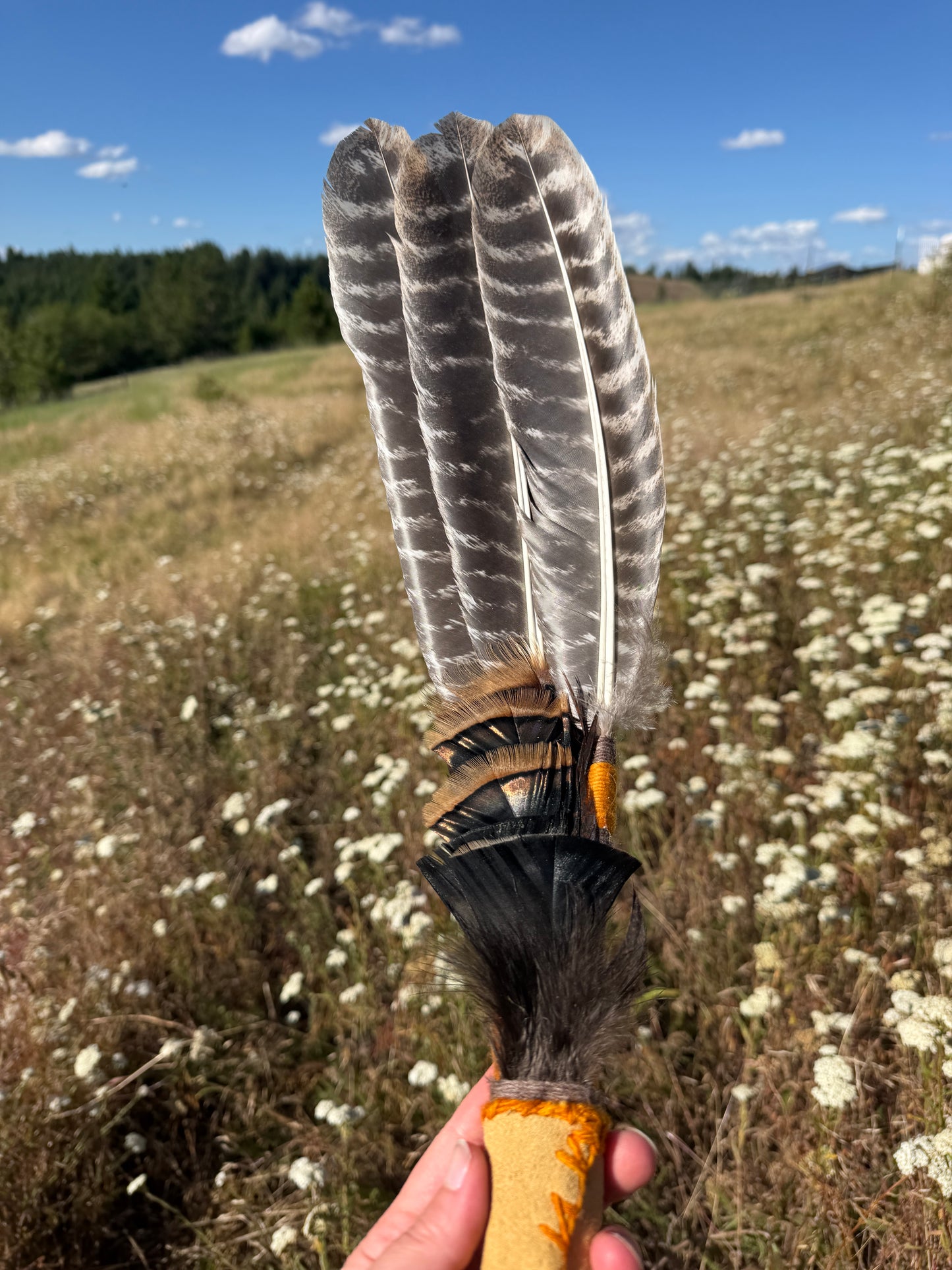 Sacred Bark- Feather Fan
