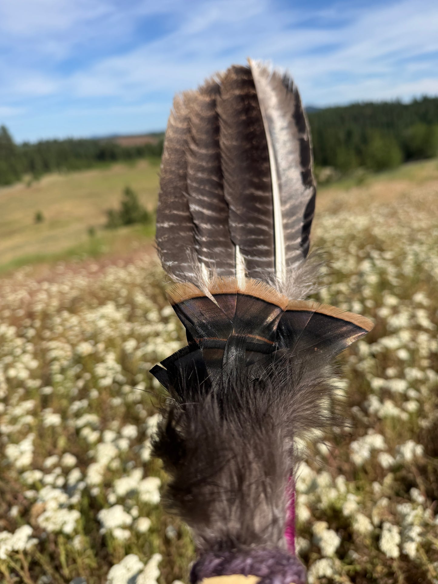 Orris- Feather Fan