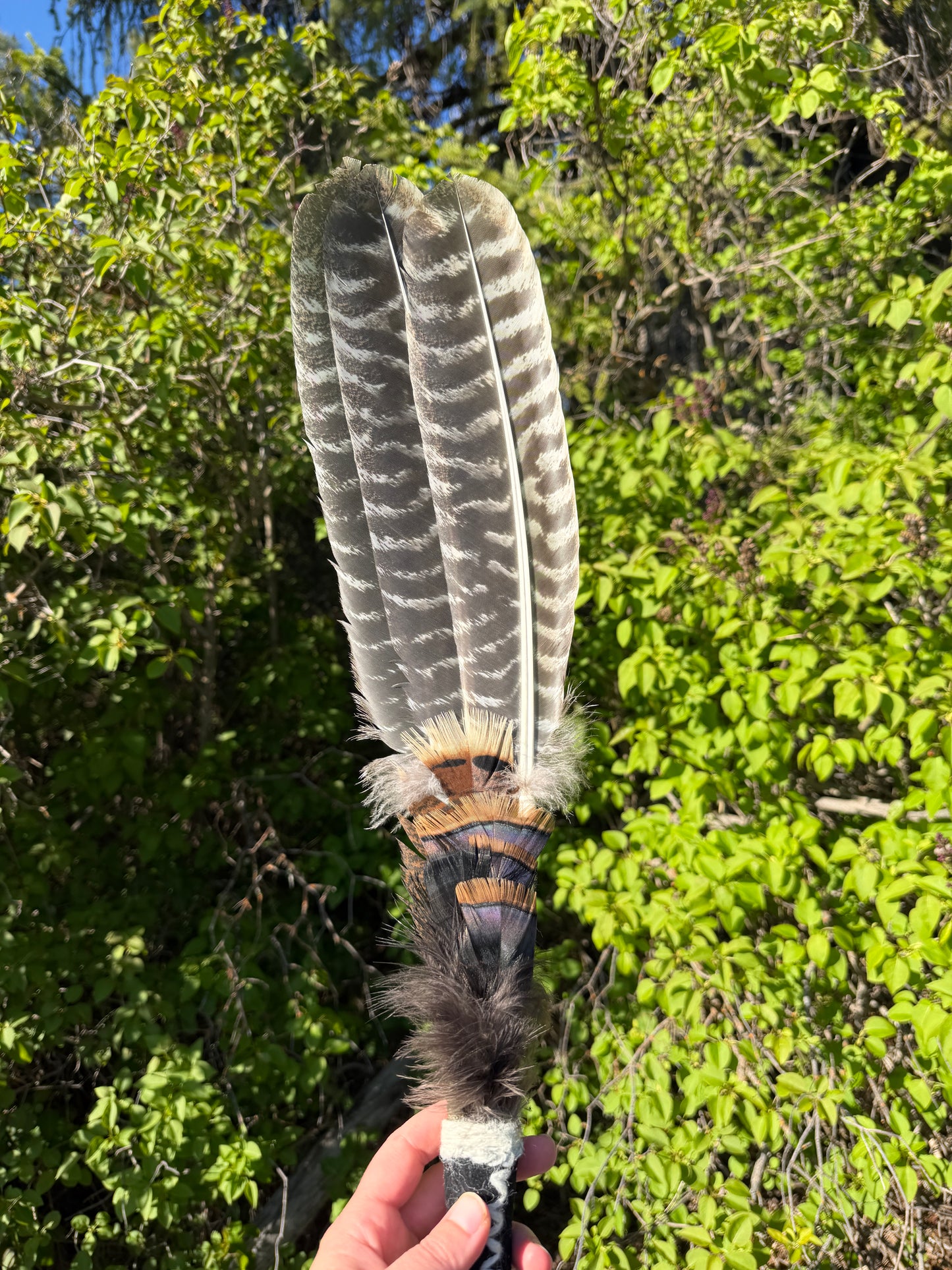 Orpine-Feather Fan