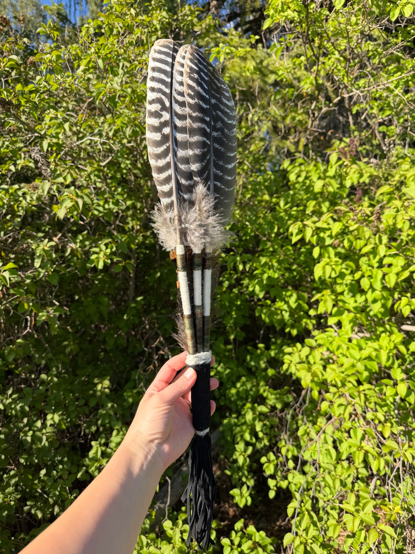 Orpine-Feather Fan