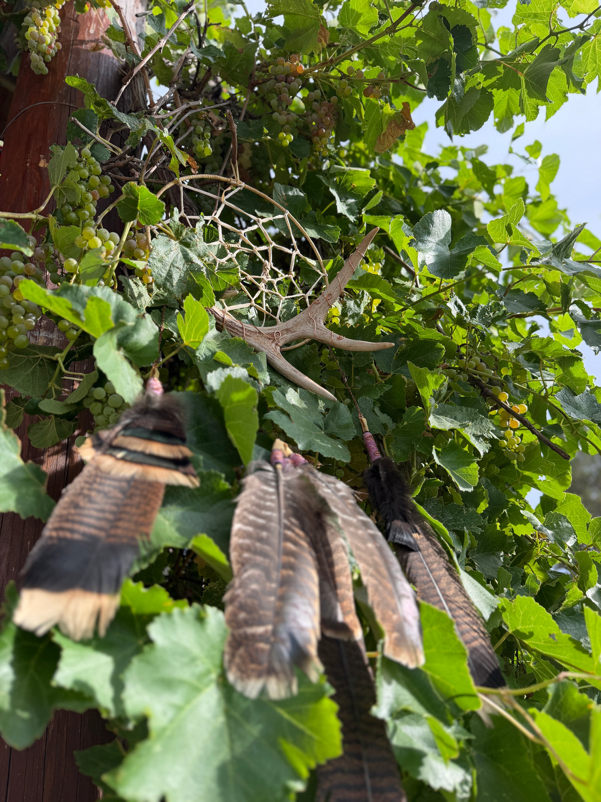 Pink Dreamcatcher