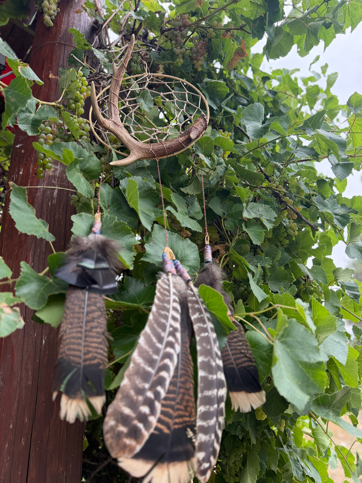 Ombre Dreamcatcher