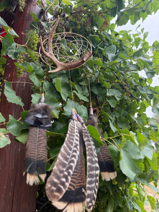 Ombre Dreamcatcher
