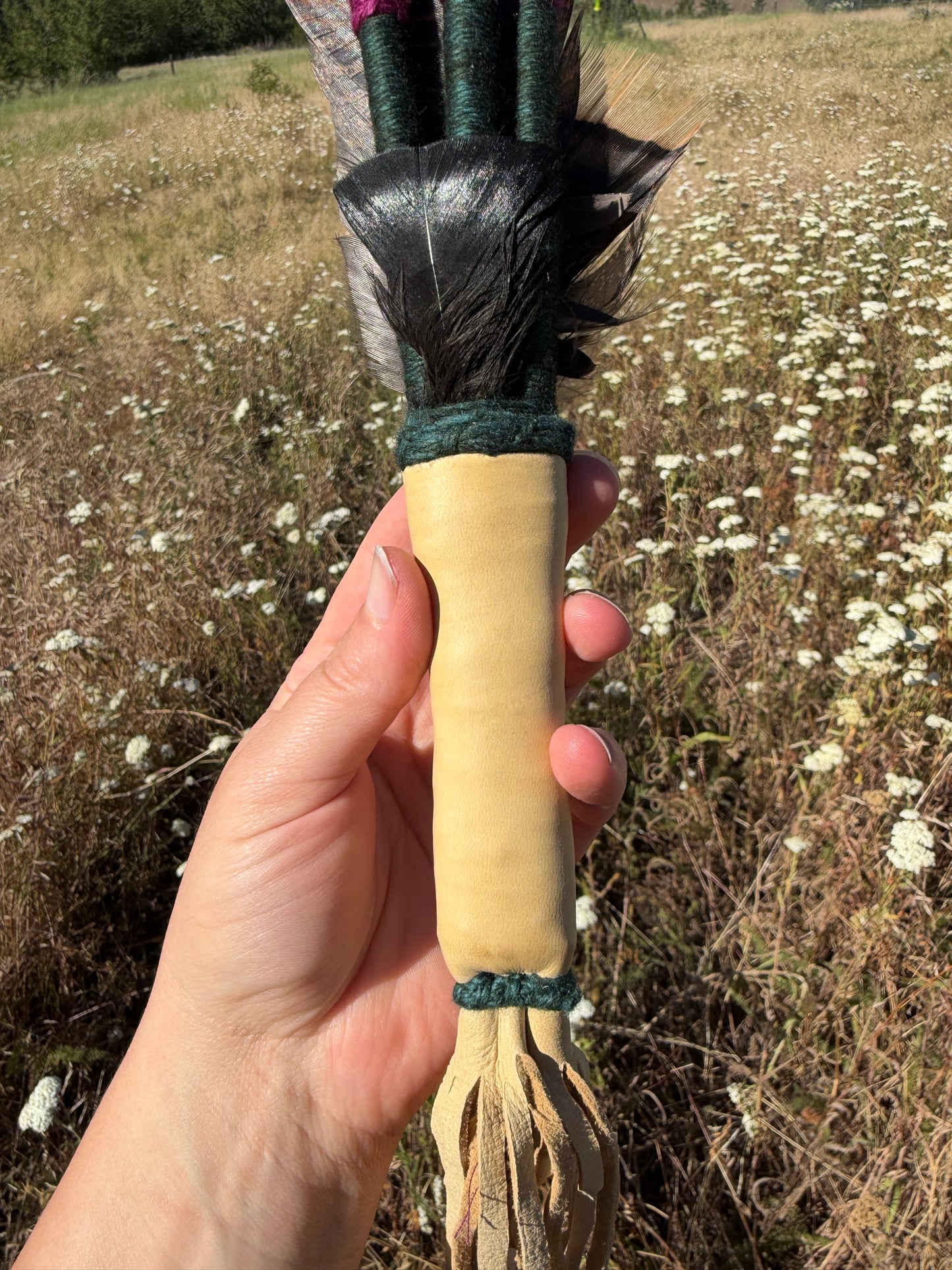 Potentilla- Feather Fan