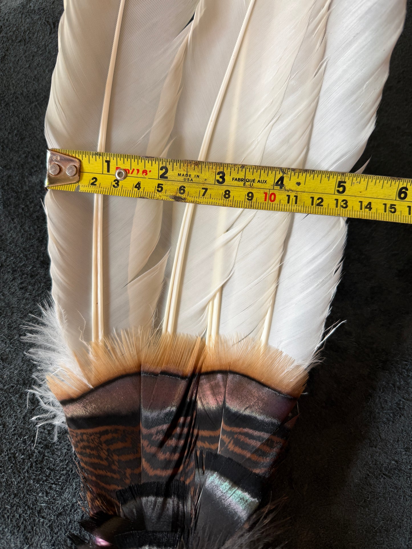 Stellata-Feather Fan