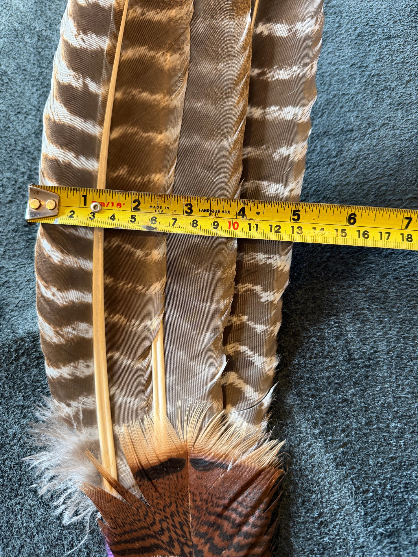 Clary-Feather Fan