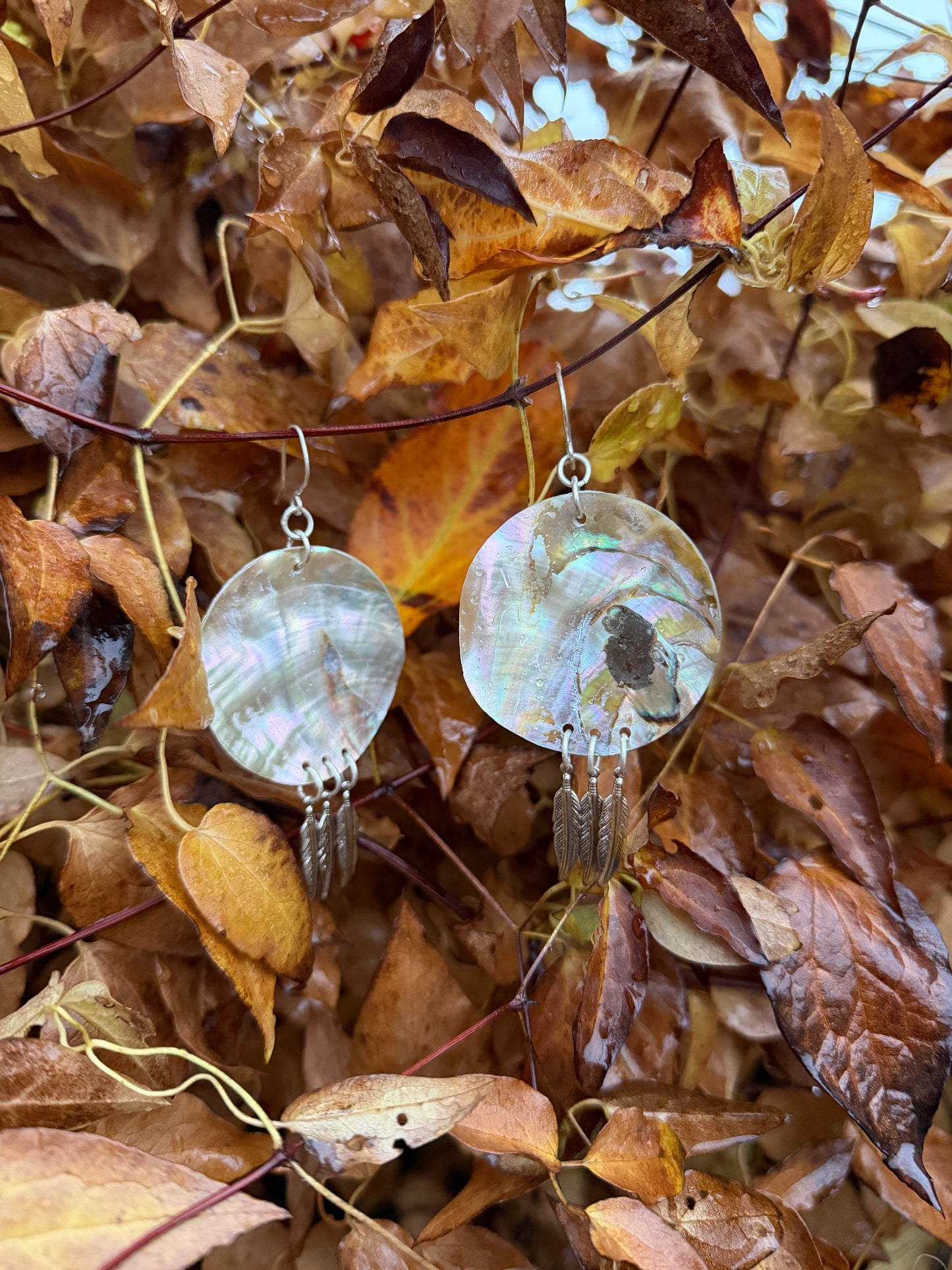 Abalone Feather Earrings