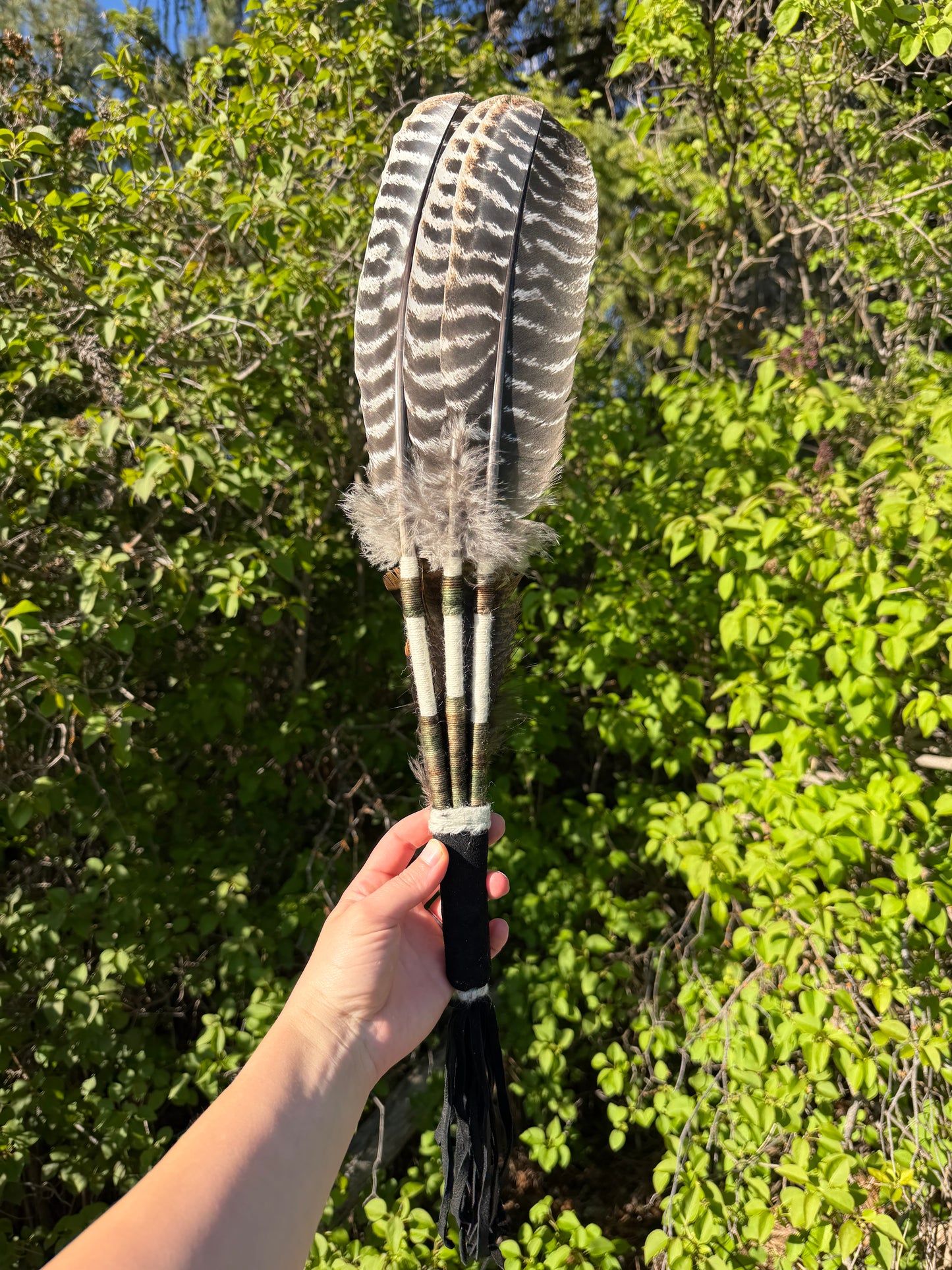 Orpine-Feather Fan