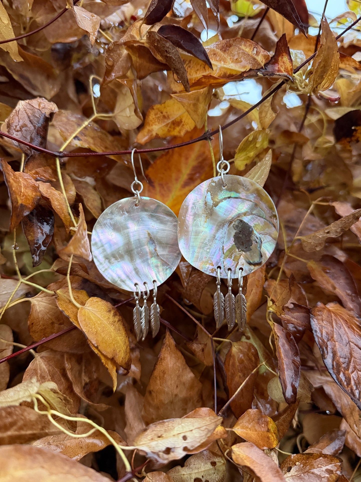 Abalone Feather Earrings