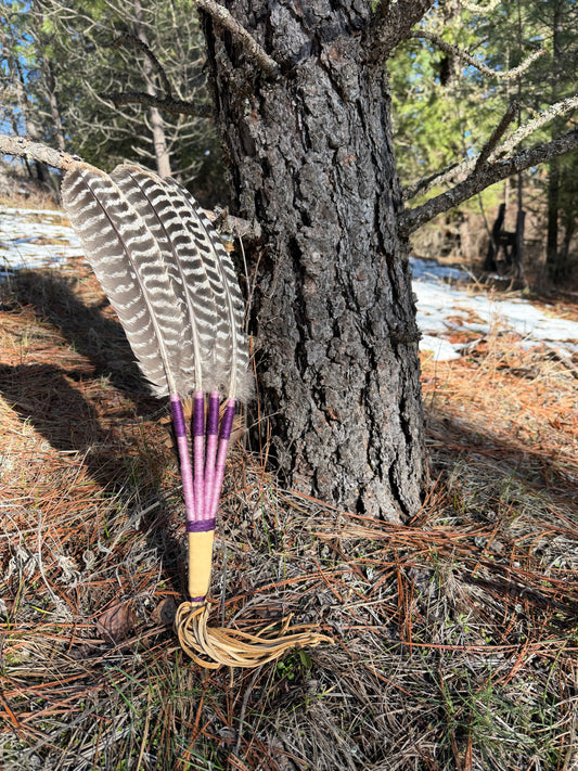 Nymphaea-Feather Fan