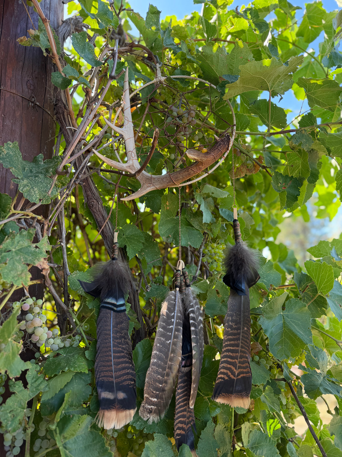 Green Dreamcatcher