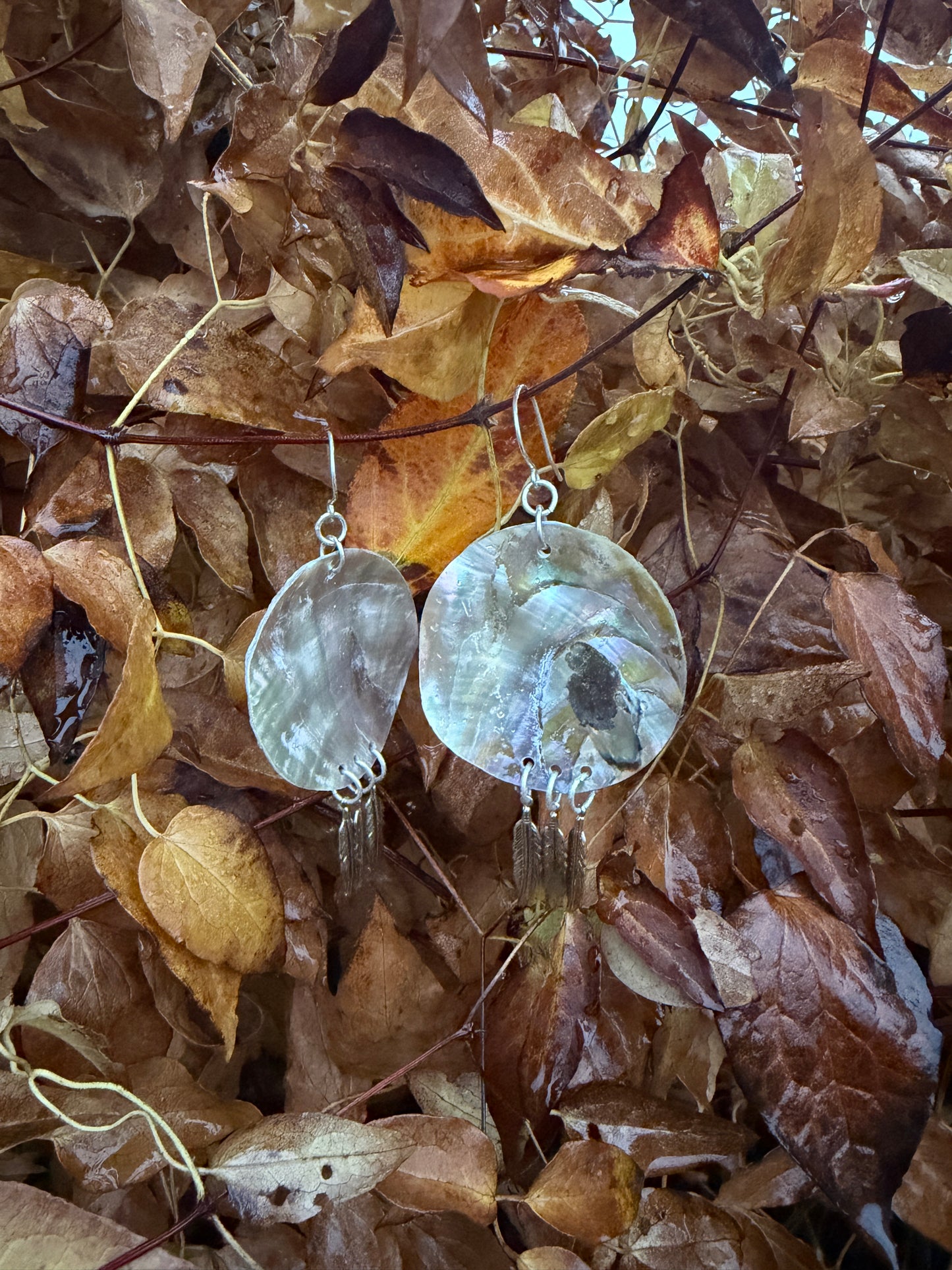 Abalone Feather Earrings