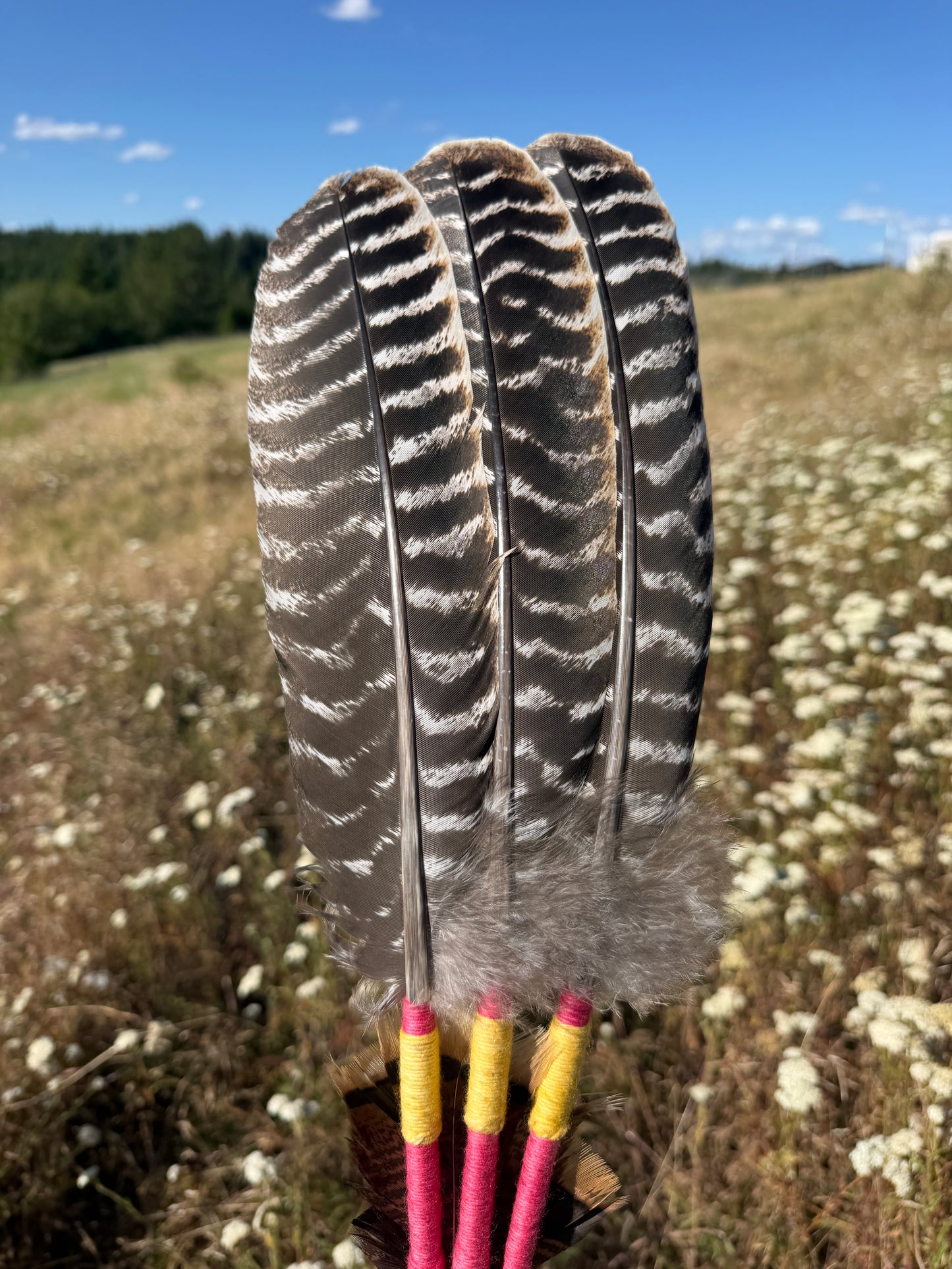 Wild Rose- Feather Fan