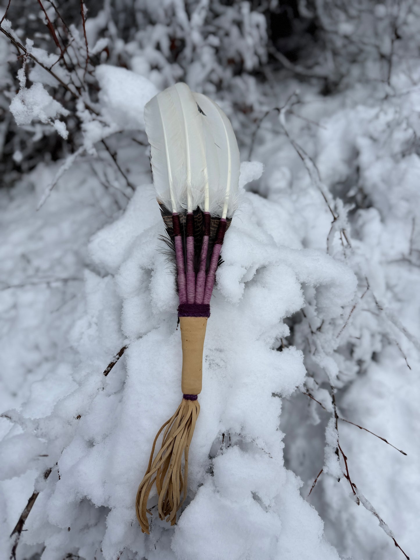 Stellata-Feather Fan