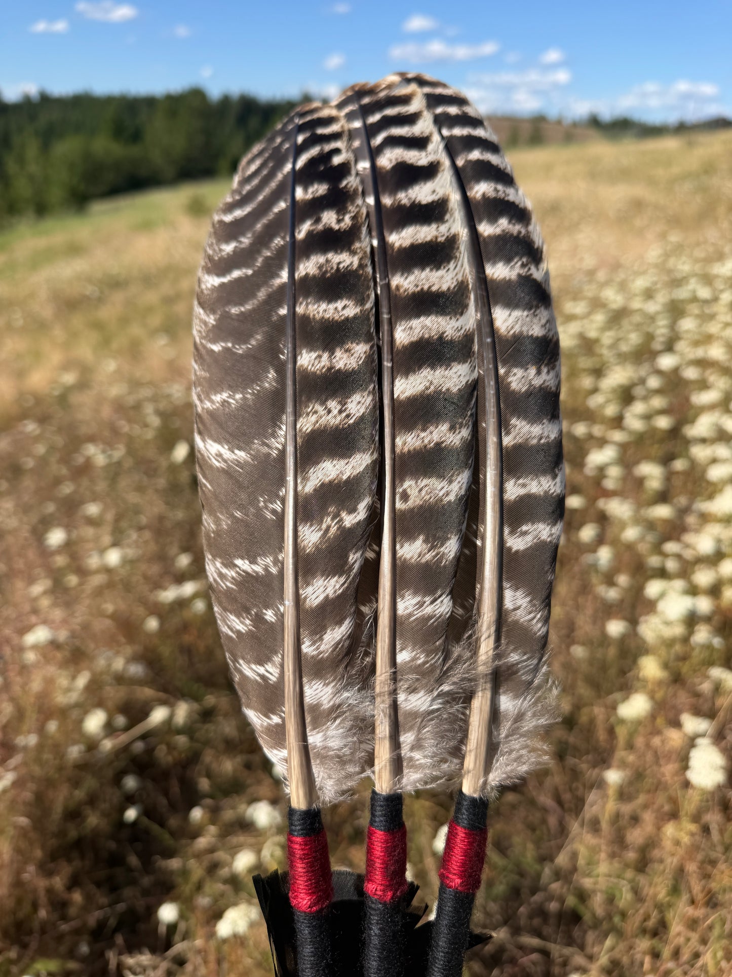 Night Shade- Feather Fan