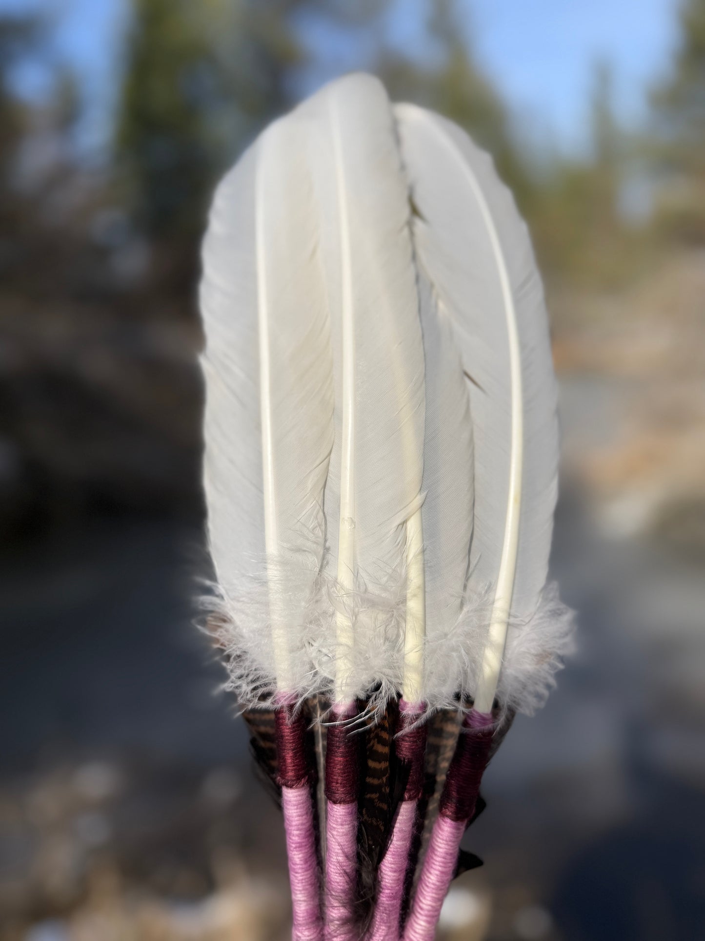 Stellata-Feather Fan