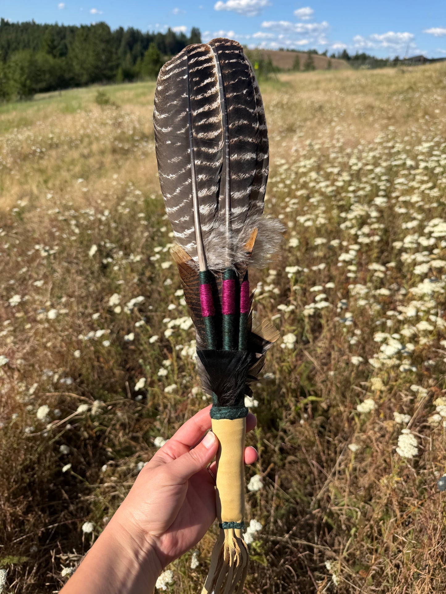 Potentilla- Feather Fan