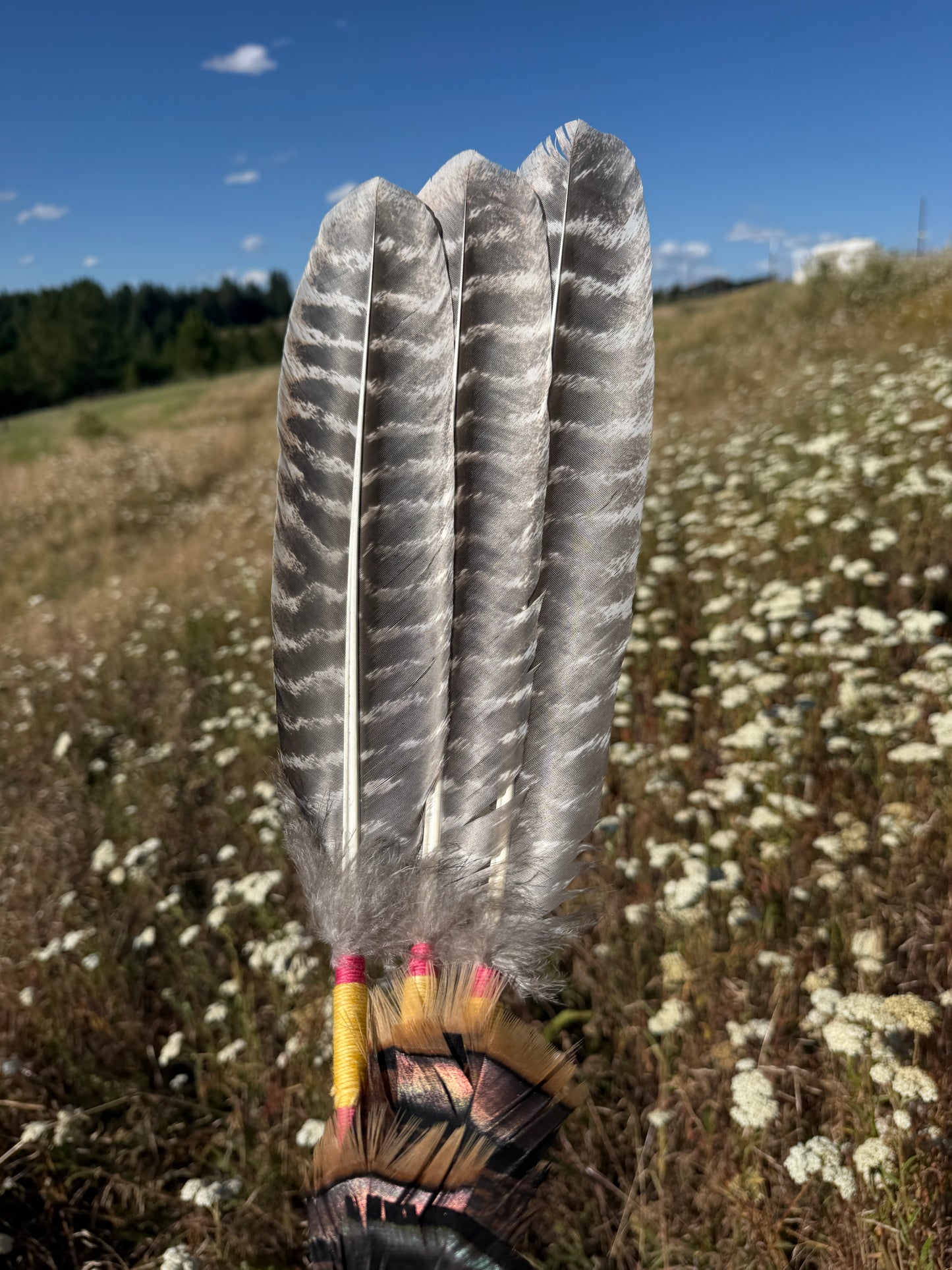 Wild Rose- Feather Fan