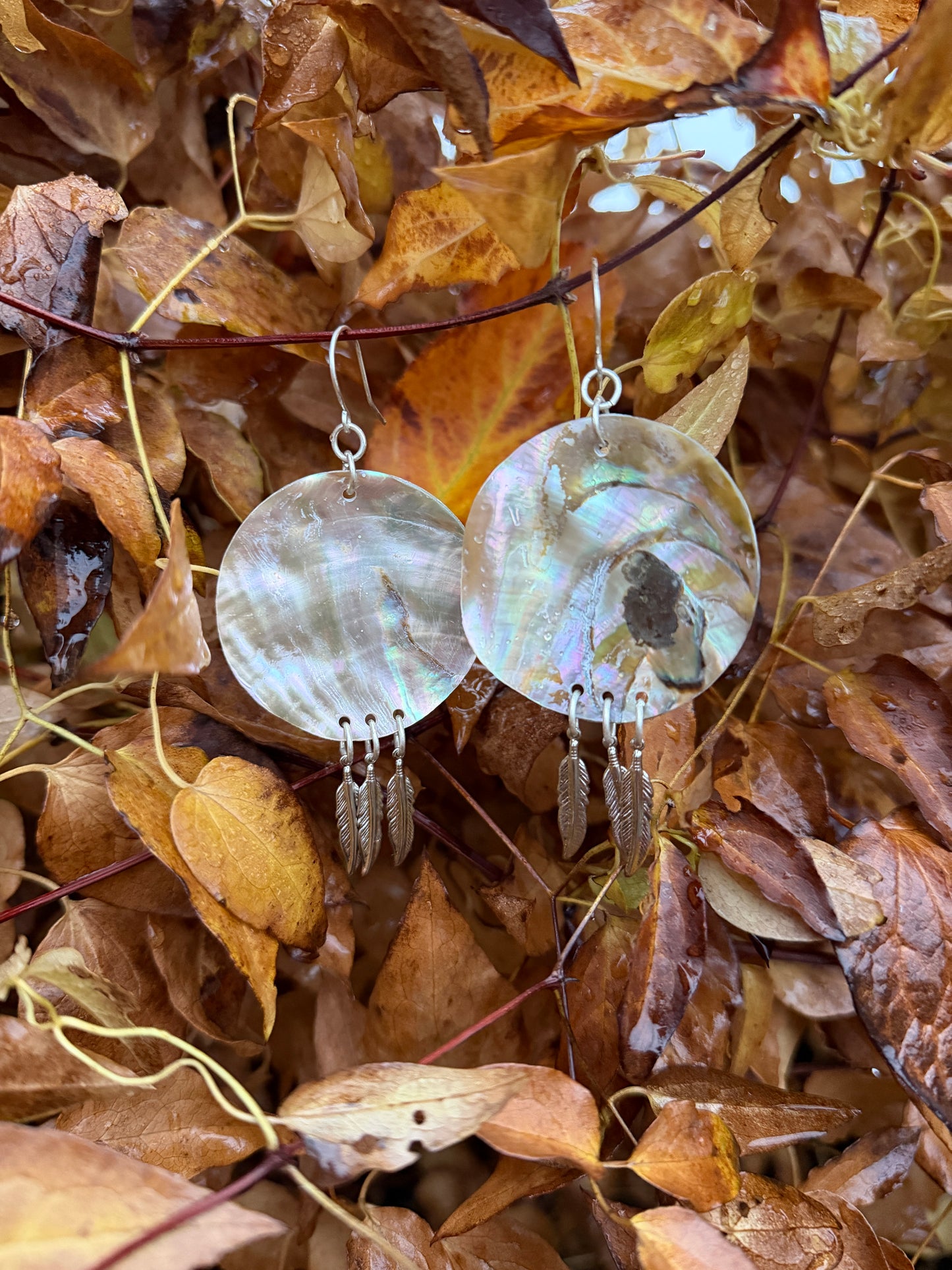 Abalone Feather Earrings
