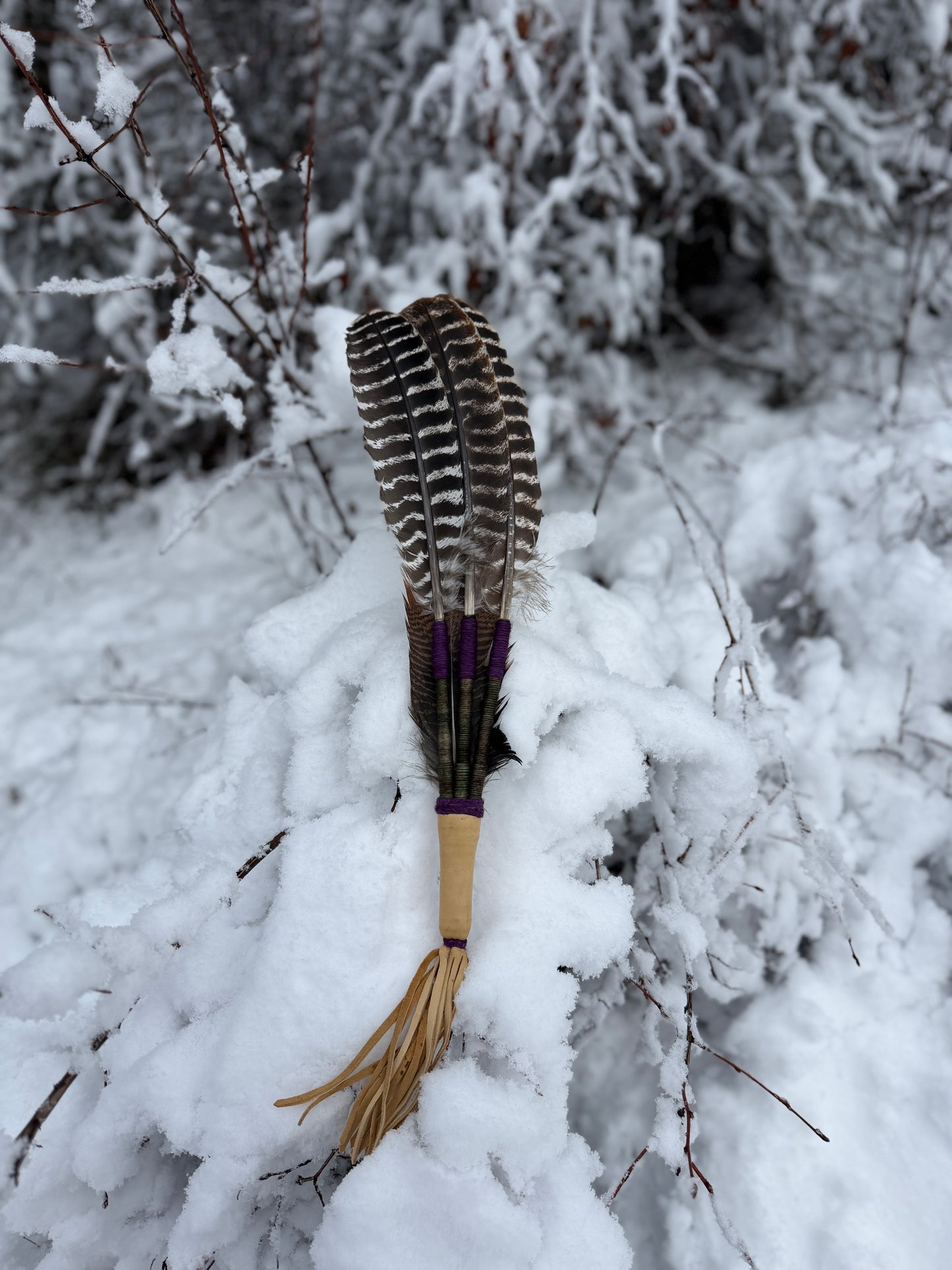 Clary-Feather Fan