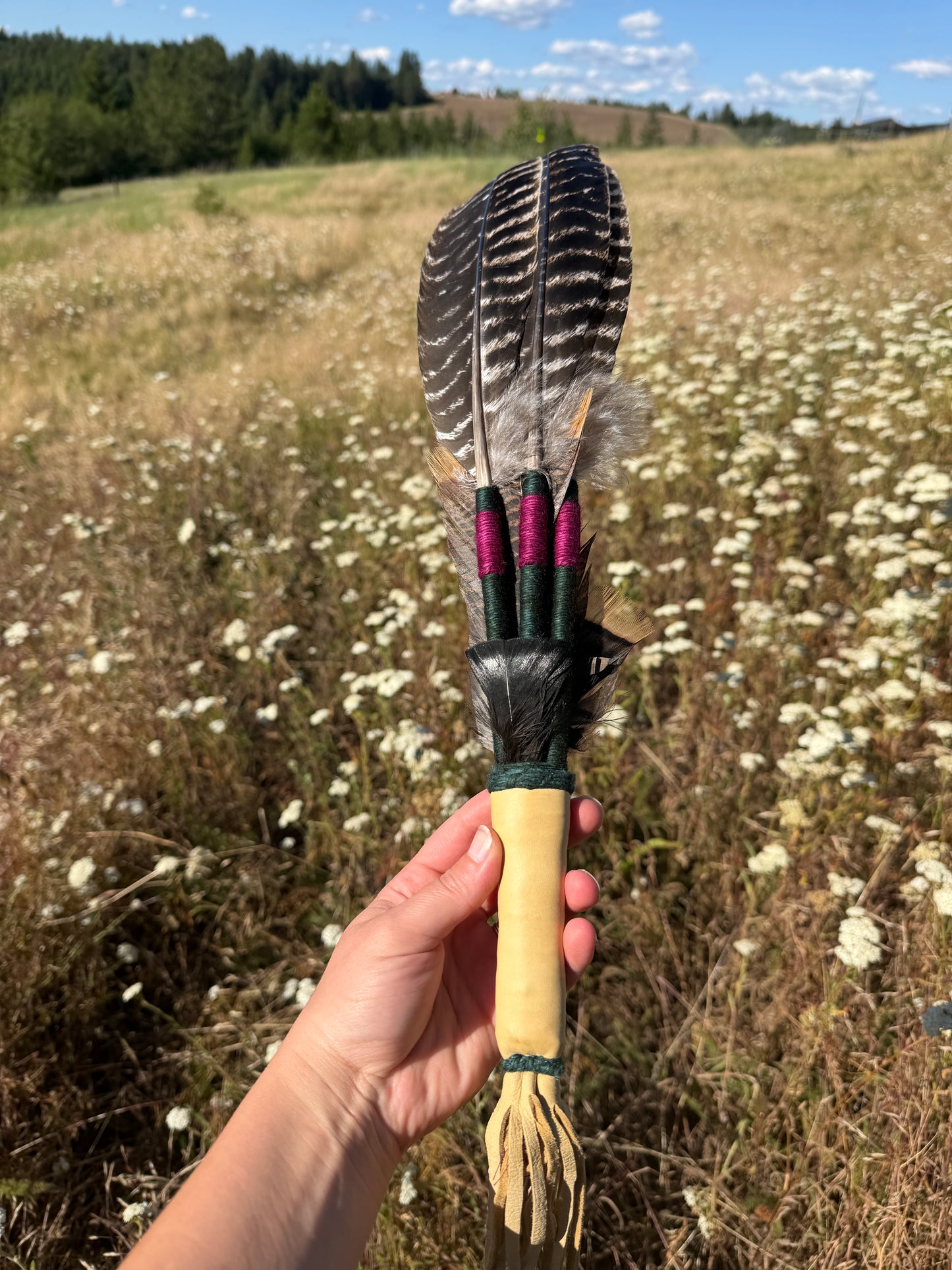 Potentilla- Feather Fan