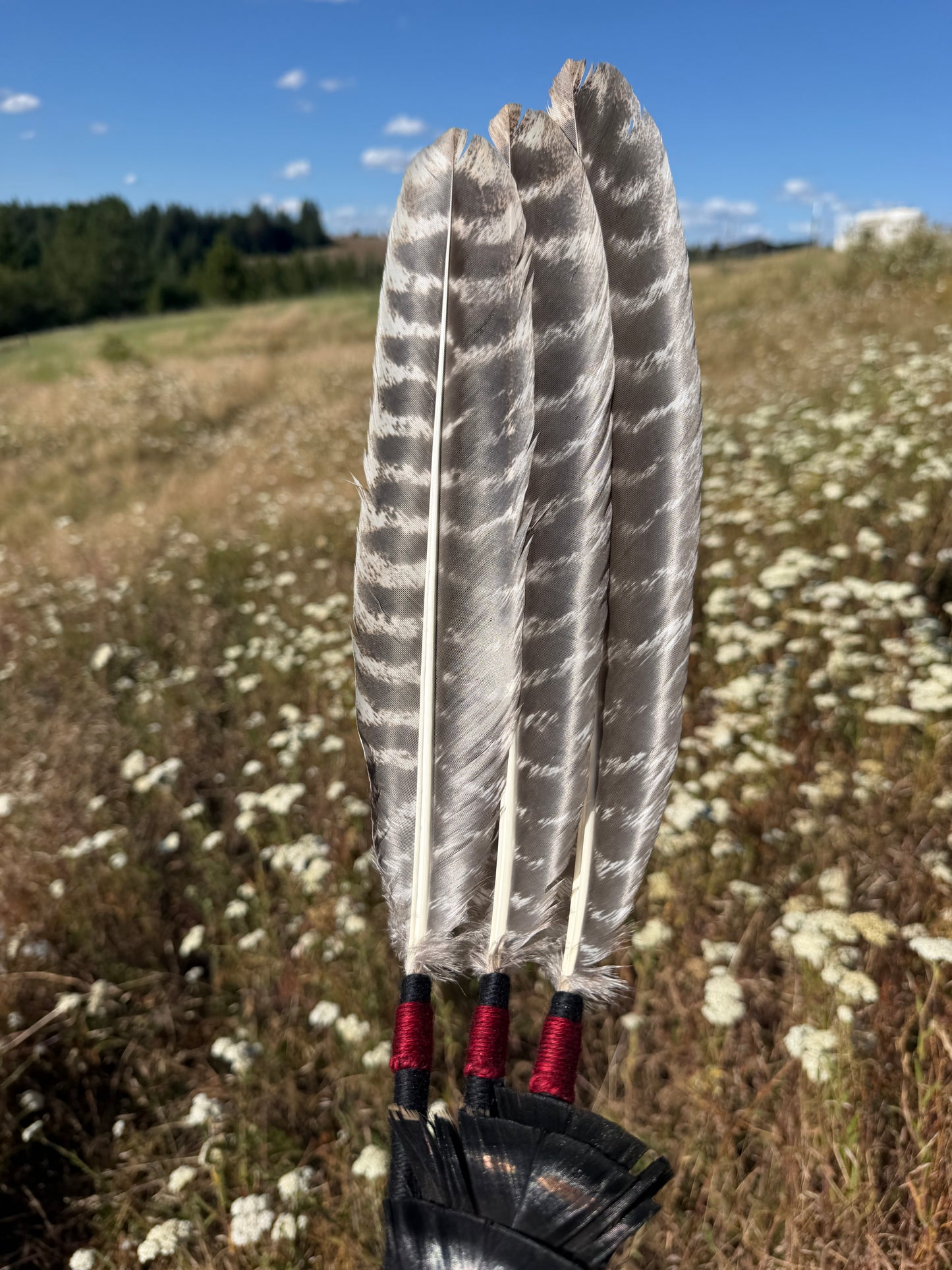 Night Shade- Feather Fan