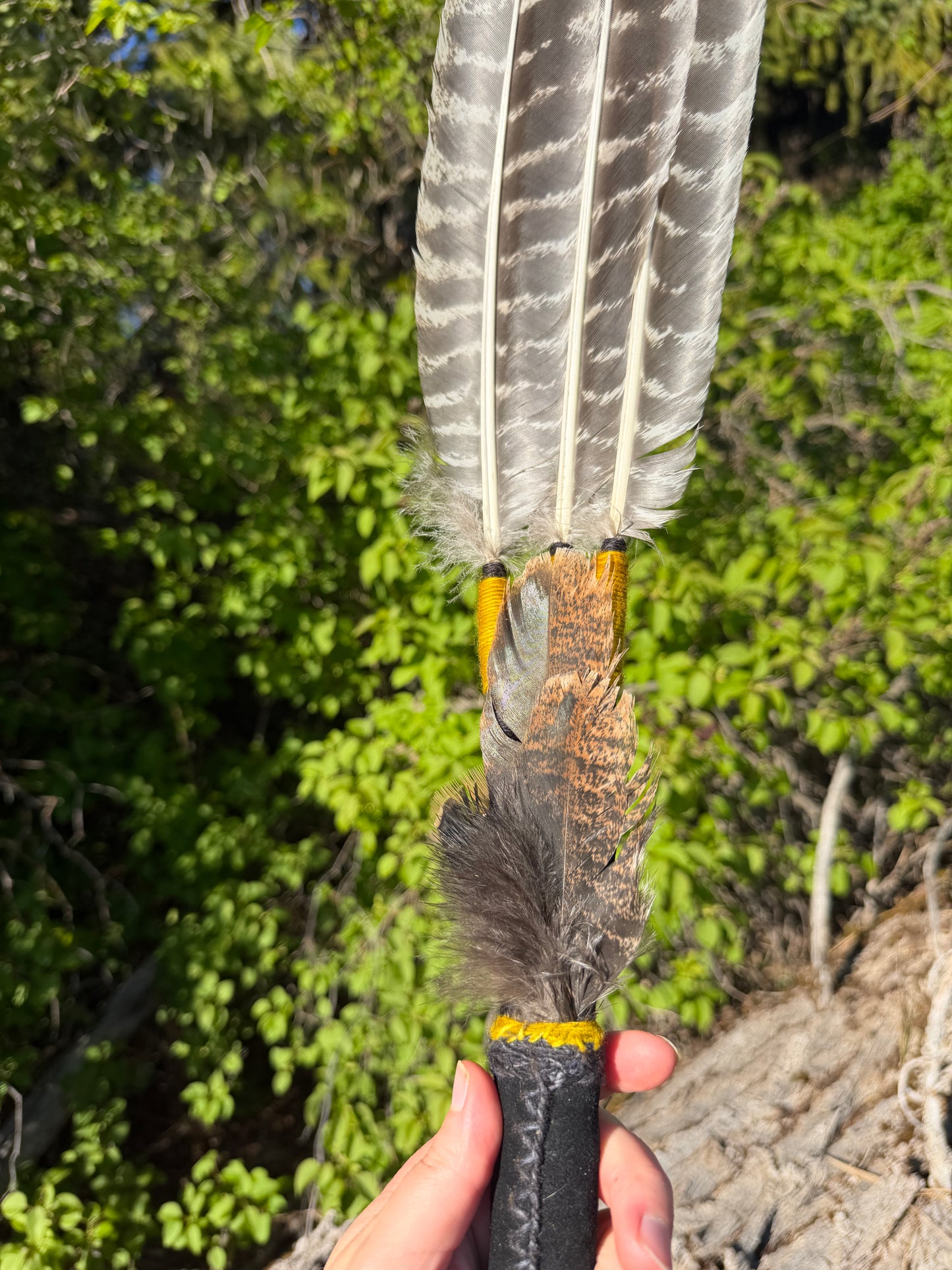 Golden Apple- Feather Fan