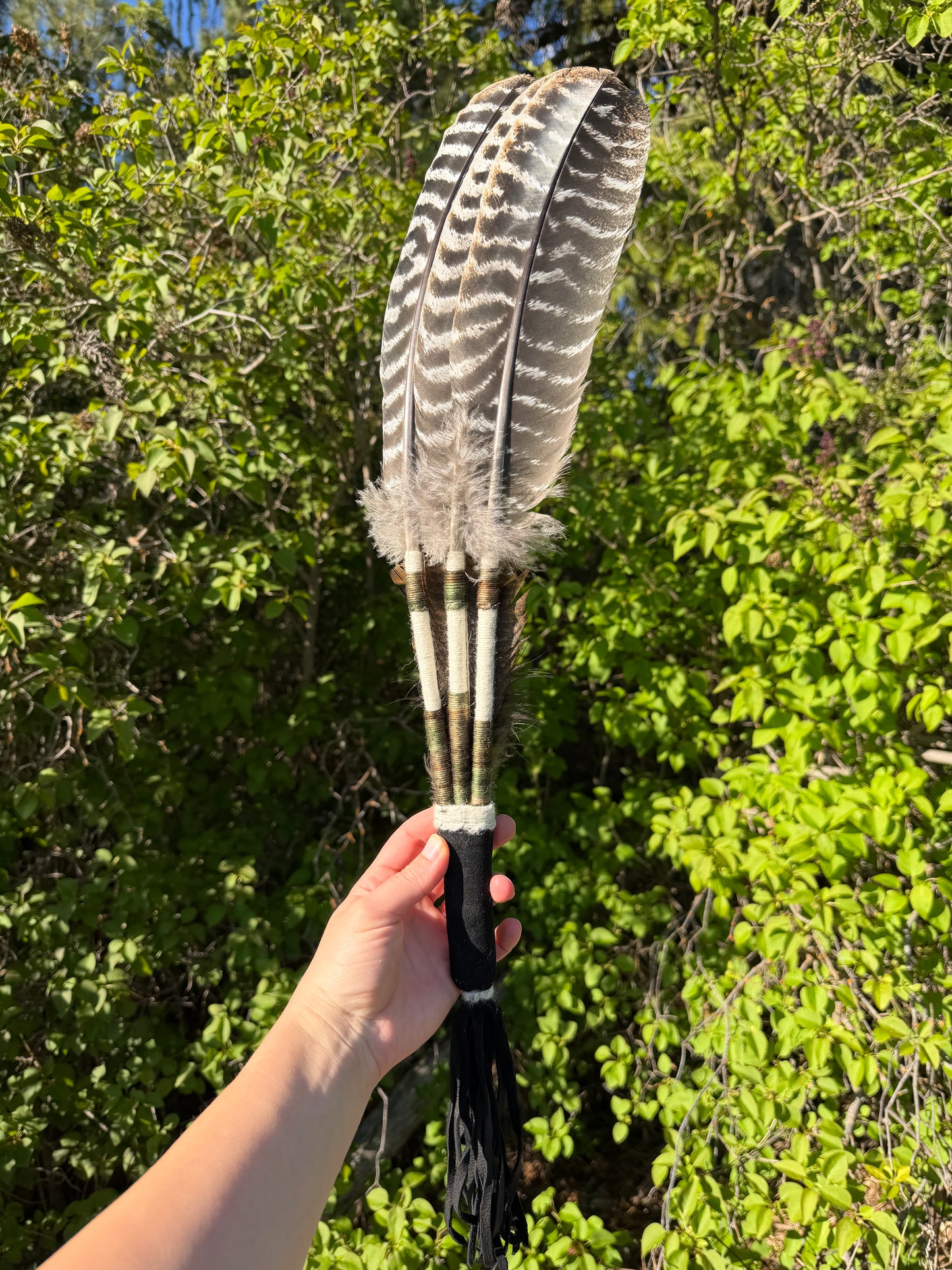 Orpine-Feather Fan