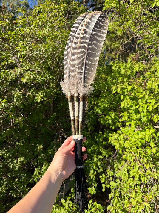 Orpine-Feather Fan