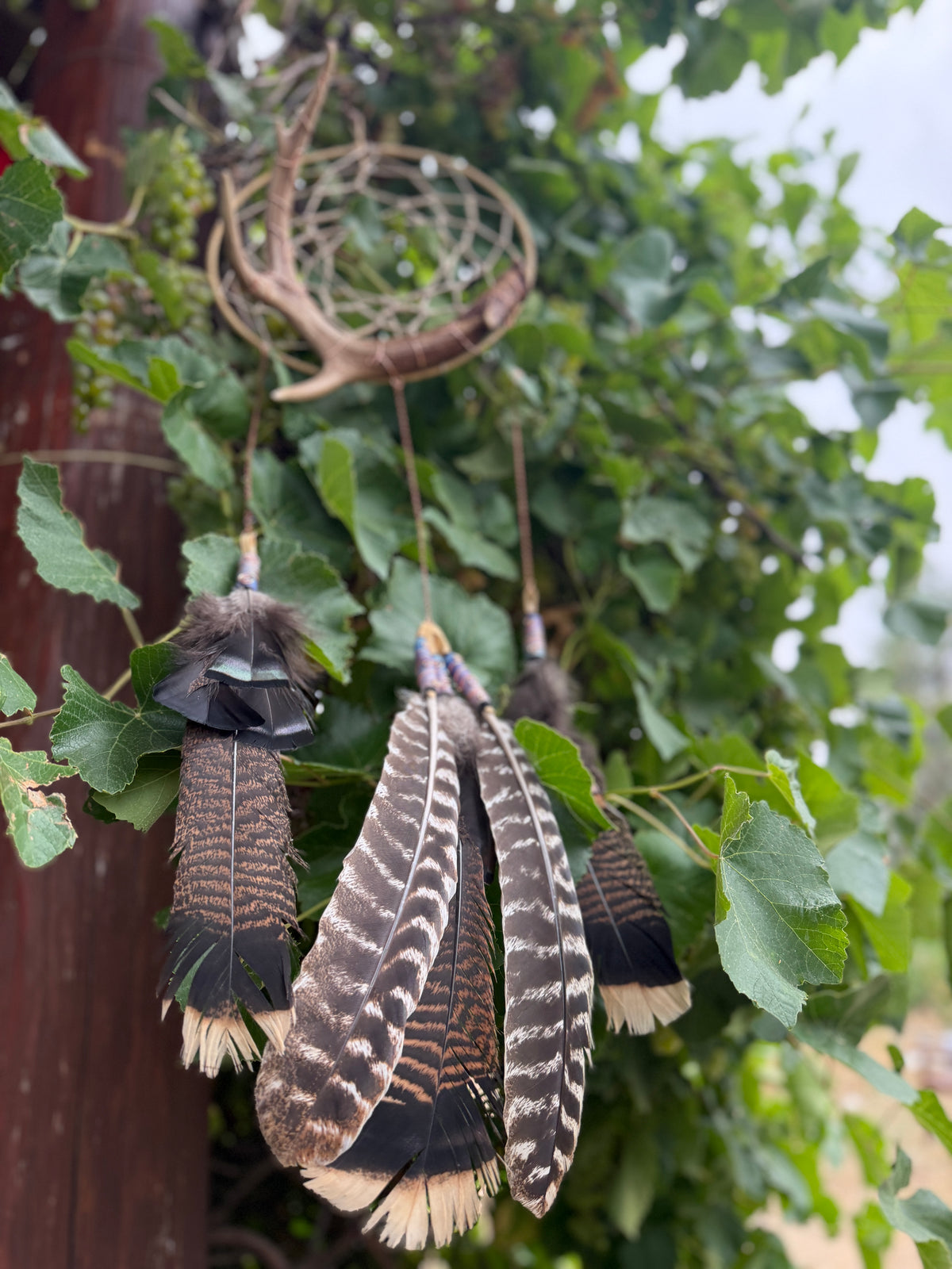 Ombre Dreamcatcher