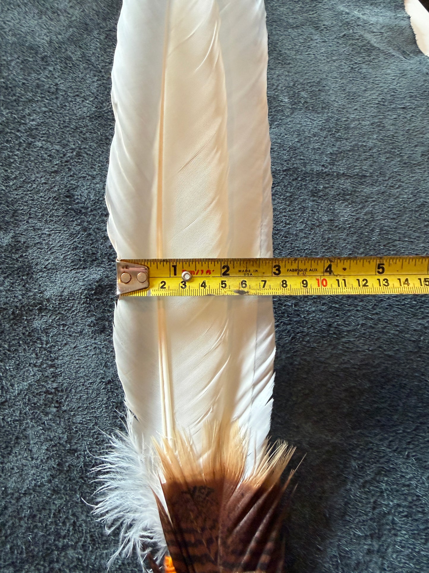 Savory-Feather Fan