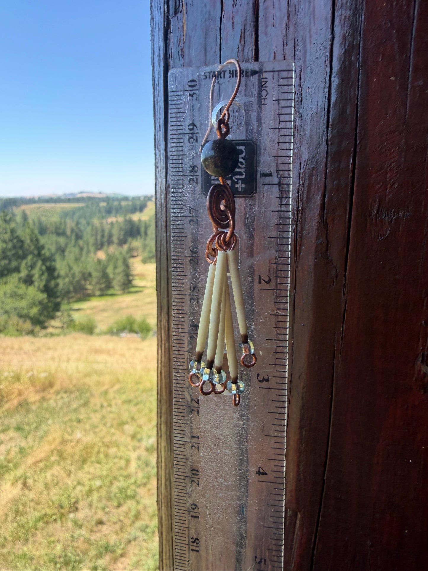 Dragon Blood Jasper Spiral - 5 Quill Earrings